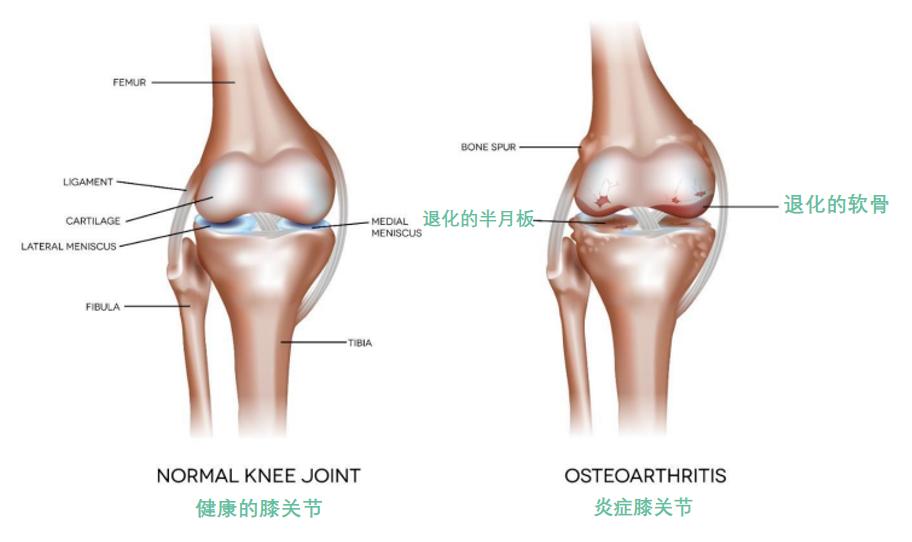 图565534片1.jpg